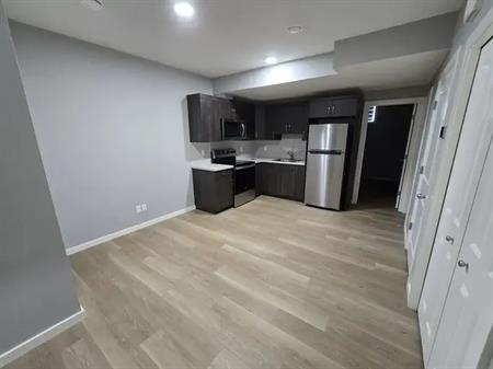 2 Bedroom legal suit | 256 Savanna Terrace Northeast, Calgary