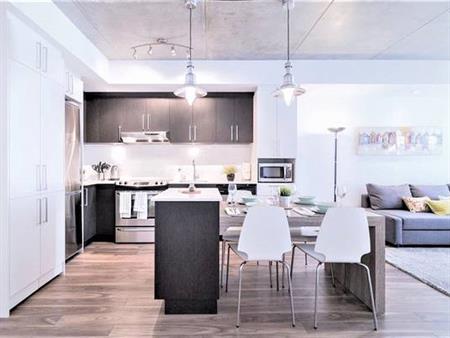 Montreal Furnished Condo Rental Fully Equiped - Bright 1 Bed, 1 Bath