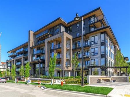 Brand new 2Bed 2Bath Apartment in Burquitlam!