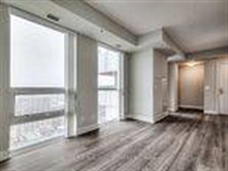 1 Bed & 1 Bath - Picasso Condos