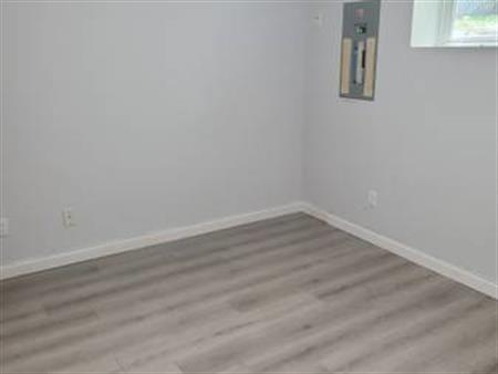 Basement suite for rent