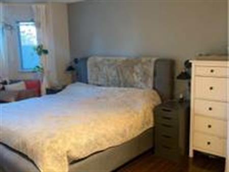 1 bed 1 bath - newly renovated