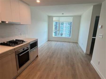 Brand New 1 Bedroom 1 Bathroom Condo for Rent Available September 1