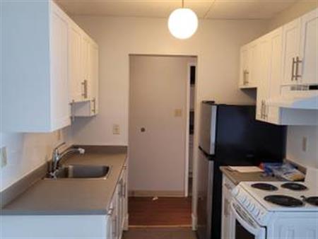 One bedroom top floor near Lougheed Sky Train- Free Rent till January