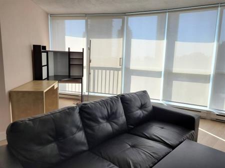 Furnished Condo 1BR +Den