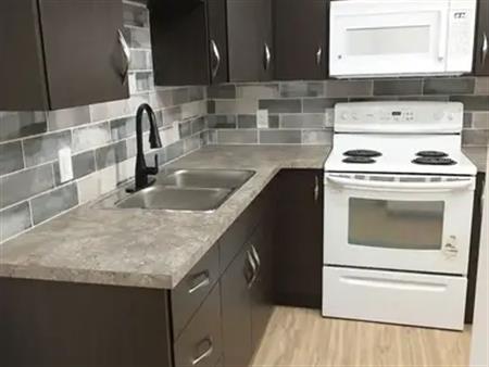 Newly renovated basement suite | Edmonton