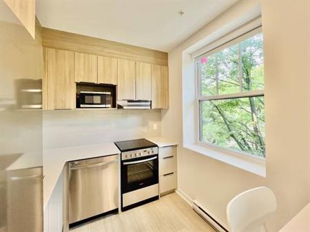 New 1 Bedroom Condos Downtown Mtl ** Furnished **