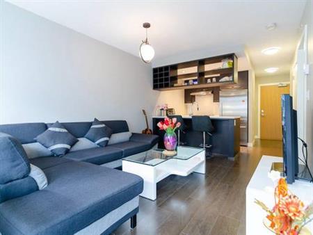 Mandarin Residences: LARGE 1 Bed + Den (Richmond Center)