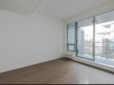 2 BR plus den (Available immediately)