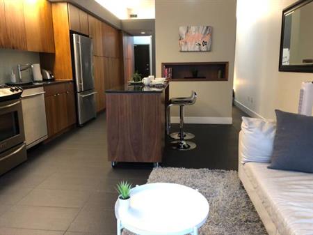 Fully Furnished, Open Concept, Crosstown Studio For Rent