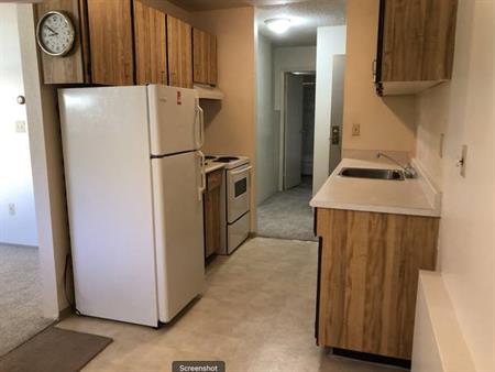 Lovely, bright, ground floor 1 bedroom - Oct. 1