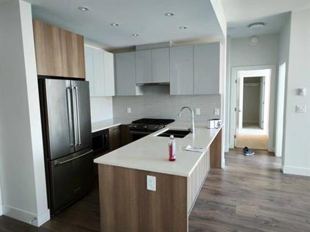 900sqft- New West Sapperton 2 bed 2 bath apartment