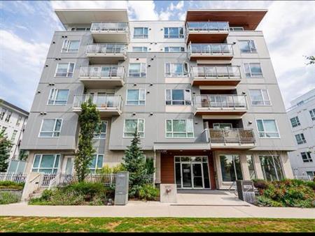 1 bedroom condo near Surrey Central for Rent