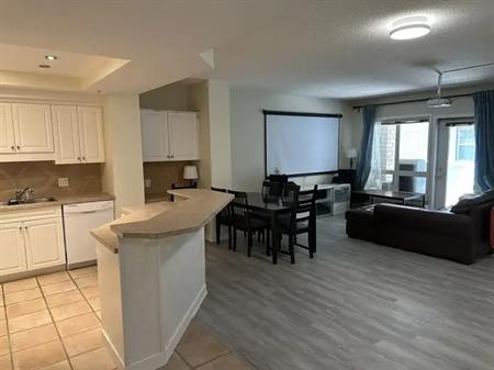 Downtown Condo 2bd 2bth concrete building . pet friendly . A/C. BBQ . Patio. | 302 - 114 15th Avenue Southwest, Calgary