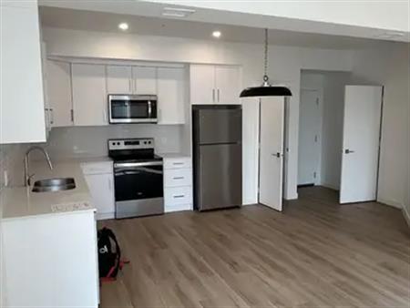 condo style townhouse NE 1 bed 1.5bath | Calgary