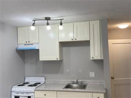 Newly renovated 1bd/1bath apartment w/Water& Heating Included!