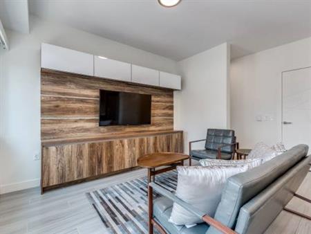 Available Feb 1st-BRAND NEW, Pet Allowed Downtown 2 BR@1168 Pendrell