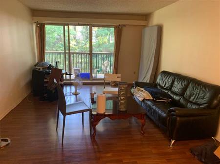 2 bedroom large apartment Lougheed Mall