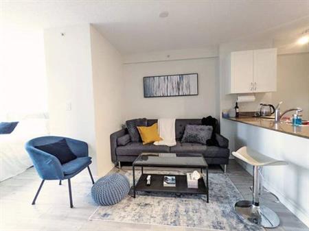 October Rental - Furnished 1 bed 1 bath in Downtown Vancouver