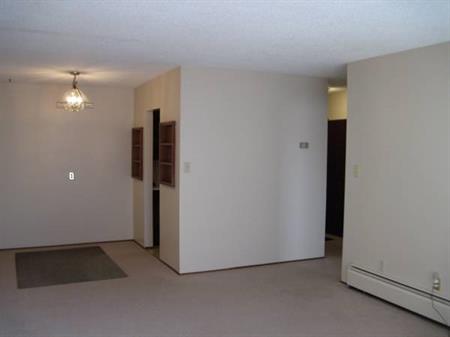 1 bedroom condo with balcony