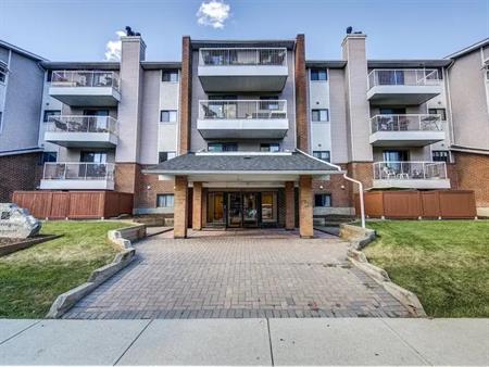 Massive Two bedroom suite in Lower Mount Royal | Calgary