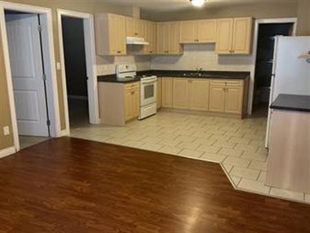 2 Bedroom Basement Suite in West Abbotsford