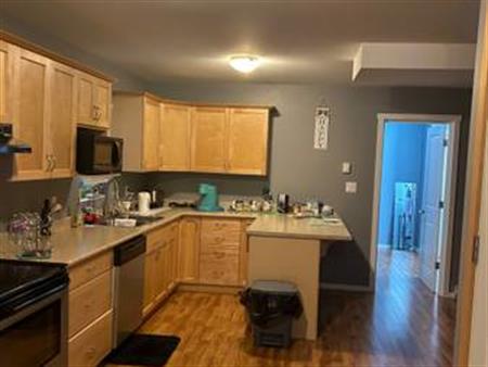 2 bdrm/1 bath Lower Suite - Oct 1st