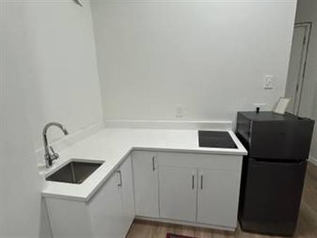 Bachelor suite with kitchenette