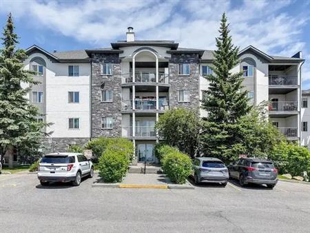 2 Bedroom, 2 Bathroom top floor unit | 515 - 55 Arbour Grove Close Northwest, Calgary