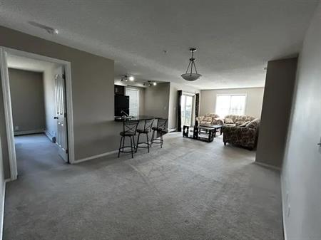 Spacious 2 Bed, 2 Bath Condo in Expanding Heritage Valley! | 11804 22 Ave SW, Edmonton