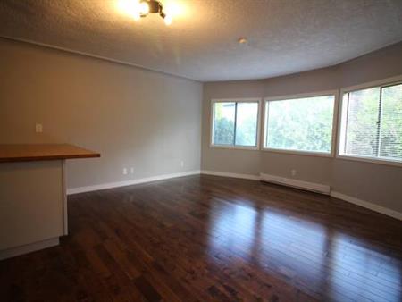 Bright Studio Suite in Triplex - Available Oct 1, 2024