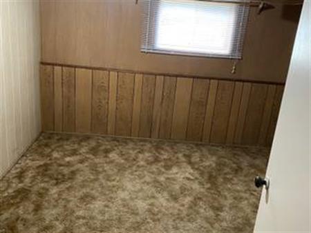 One bedroom basement suite for rent