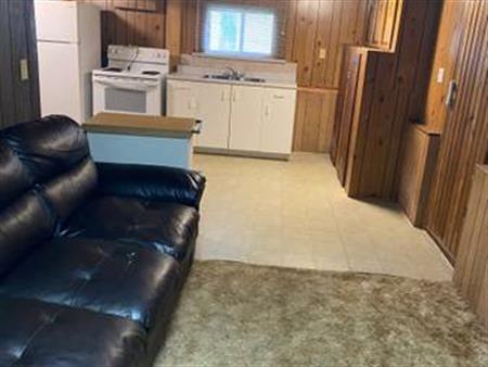 One bedroom basement suite for rent