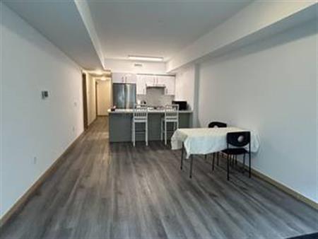 Brand new condo townhouse