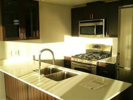 REDUCED PRICE! CLEAN,SPACIOUS, BRIGHT APARTMENT AVAIL. SEPTEMBER 15,24