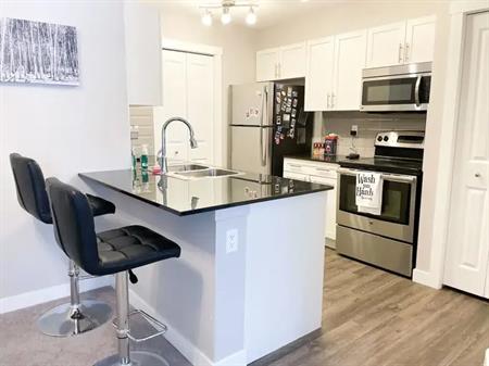 2 Bedroom, 2 Bathroom FULLY FURNISHED | 10 Kincora Glen Park Northwest, Calgary