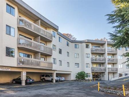 Quadra Woods - 1 Bedroom - Available Now