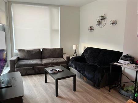 1 Bedroom Downtown Condo For Rent