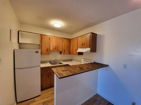 One Bedroom Apartment off Oak Bay Ave