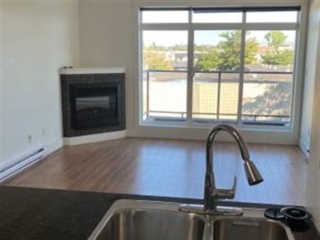 Mayfair 2 bed 2 bath, pet considered - $2,400/month