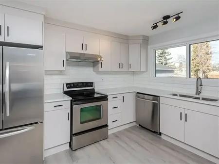 Modern 3 Bed 1.5 Bath Suite | 7424 41 Avenue Northwest, Edmonton