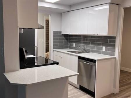 Newly Renovated 1 Bedroom and Den