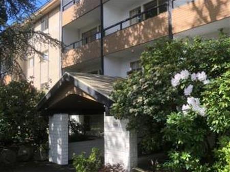 Bright Third Floor Bachelor Suite at Devon Oaks