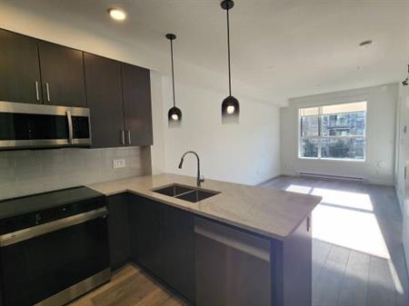 Brand New 1 Bedroom Langley City