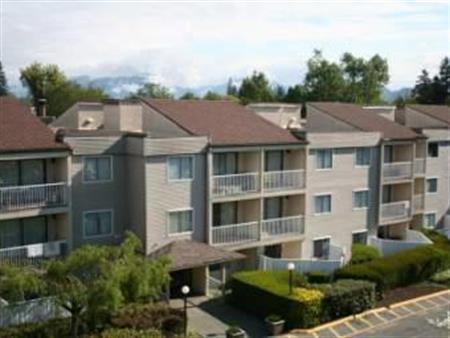 1 Bedroom @ Mountain Ridge Apartments