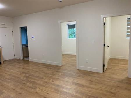 New 2 bedroom basement suite