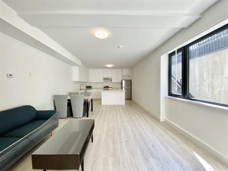 BRAND NEW 2 Bedroom + DEN basement suite with lots of natural light