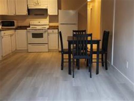 2 bedroom suite near Joyce & Patterson Skytrain close to BCIT,Shopping