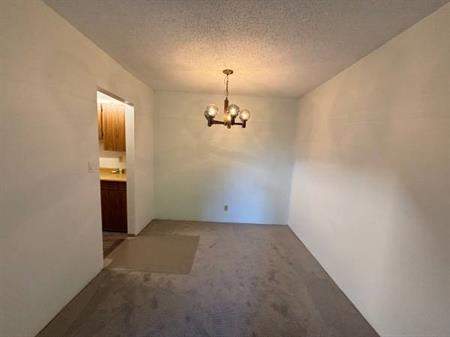 1 bedroom in central Richmond for rent