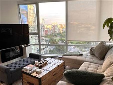 Fully Renovated Spacious Furnished One Bedroom with Stunning View